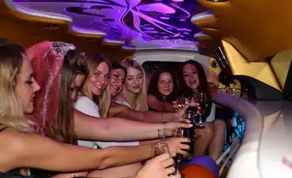 Leisure Transportation
