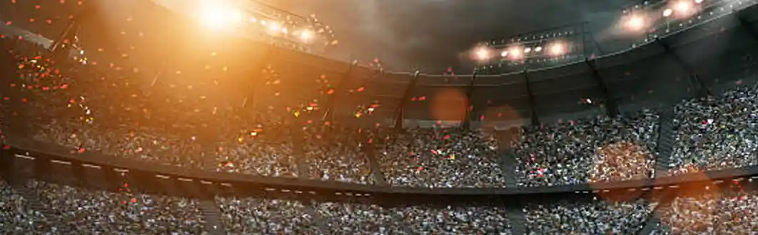Our World Cup Transportation Fleet: Vehicles for Every Group Size
