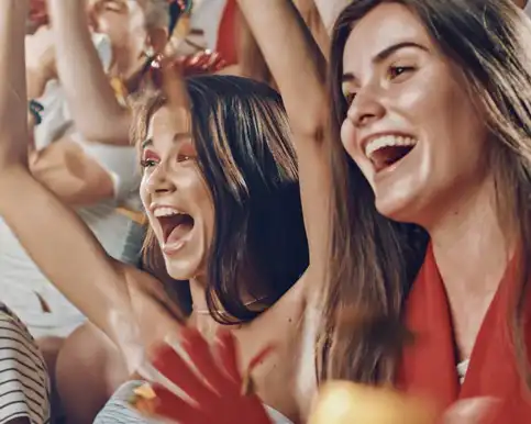Sporting Events, Concerts, and Festivals Transportation