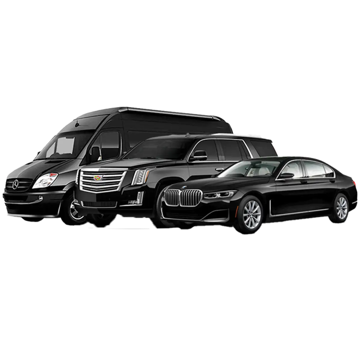 Luxury Cars